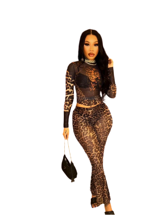 Mesh Me Leopard Set